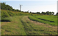 Arable field boundary near Ashlyn