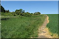 Footpath by earthworks towards Romp Hall