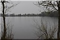 TQ0593 : Bury Lake by N Chadwick