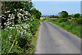 Shane Road, Dunmoyle