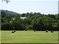 Hay bales at Maiden House Farm