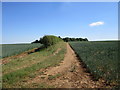 Footpath to Heydour Lodge Farm