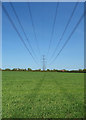 Cables over the fields