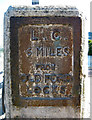 River Lee Navigation : Milestone