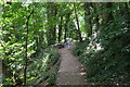 Footpath along the Frome