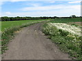 Public Footpath near Holywell