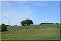 View over the fields towards the Friends