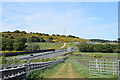 The AWPR (A90) beside Cloghill near Kingswells