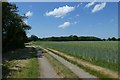 Old Street and wheat fields