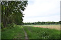 On the bridleway through Brookes Reserve