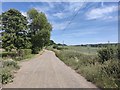 West Flexford Lane near Wanborough Camp House