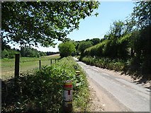 SO8586 : Greensforge Lane by Gordon Griffiths