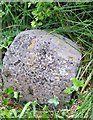 Milestone - Llandeilo 10