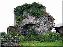 R7250 : Castles of Munster: Brittas, Limerick (1) by Garry Dickinson