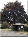 Bus stop and shelter on Park Lane