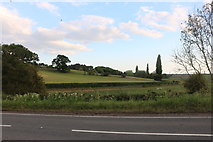 SO7796 : View from the B4176, Chesterton by David Howard