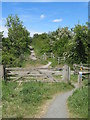 Teesdale Railway Walk