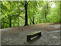 Bench in Gledhow Valley Woods