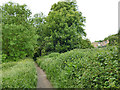 Small clearing in Gledhow Valley Woods