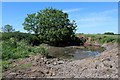 Pool of Mud between Oak Tree Farm and Gill Bridge