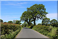 Country Lane heading towards Gill Bridge