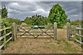 St. James South Elmham: The Street merges into Medfield and Common Roads