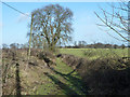 Path north from Paddock Barn