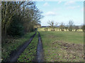 Track towards Tillingdown Farm