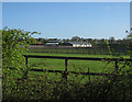 TL6657 : Stud farm near Ditton Green by Hugh Venables