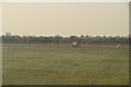 TQ0575 : The landing lights, southern runway by N Chadwick