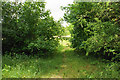 Footpath leaving Windy Bank Farm