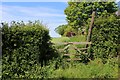 Public Footpath heading North towards Field Foot Farm