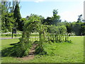NT2469 : Willow arch in Braidburn Valley Park by M J Richardson