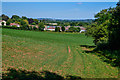 Portishead : Grassy Field