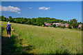 Portishead : Grassy Field