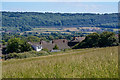 Portishead : Grassy Field