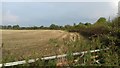 Field North of Church Lane Railway Bridge