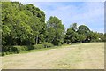 Field on Tenter Hill