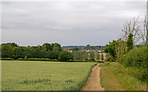 TL5503 : Footpaths on Arable Land, Ongar by Roger Jones
