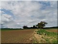 Field path between Tocketts Farm and Tocketts Wood