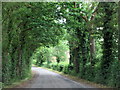 SO9173 : Woodcote Green Lane by Roy Hughes