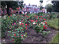 Burley Park: rose garden