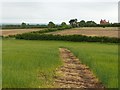 View across Shacker Dale