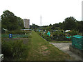 Greenthorpe Allotments