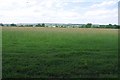TQ5196 : Hay Meadow Near Lodge Farm by Glyn Baker