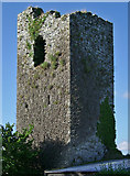 R5431 : Castles of Munster: Bruree Lower, Limerick by Garry Dickinson