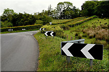 H5472 : Keep left signs, Bracky by Kenneth  Allen