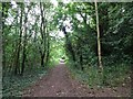 Railway Path View