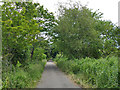 The old Deeside line, passing Allenvale Cemetery