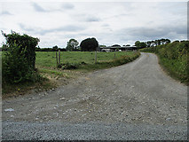 S4745 : Farm Lane by kevin higgins
